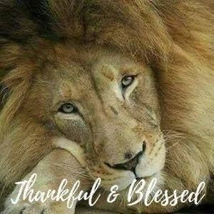 Meet your Posher, Vicky